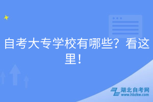 自考大專學(xué)校有哪些？看這里！