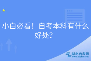 小白必看！自考本科有什么好處？