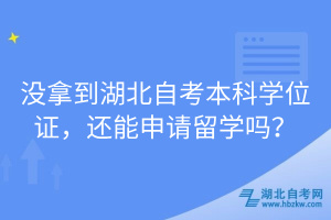 沒拿到湖北自考本科學(xué)位證，還能申請(qǐng)留學(xué)嗎？