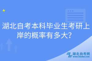 湖北自考本科畢業(yè)生考研上岸的概率有多大？