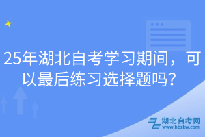 25年湖北自考學(xué)習(xí)期間，可以最后練習(xí)選擇題嗎？