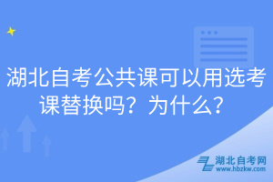 湖北自考公共課可以用選考課替換嗎？為什么？