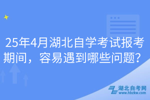 25年4月湖北自學(xué)考試報(bào)考期間，容易遇到哪些問題？