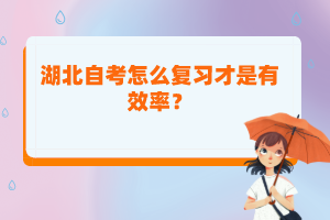 湖北自考怎么復習才是有效率？