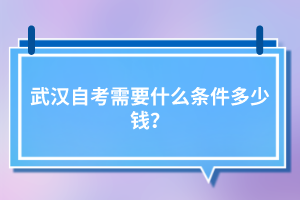 武漢自考需要什么條件多少錢？