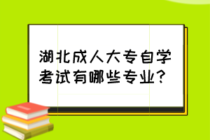 湖北成人大專自學(xué)考試有哪些專業(yè)？