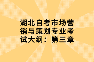 湖北自考市場營銷與策劃專業(yè)考試大綱：第三章