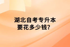 湖北自考專升本要花多少錢？