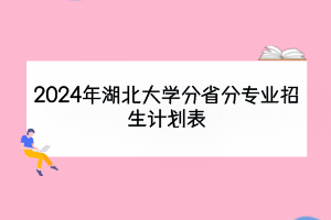 2024年湖北大學(xué)分省分專(zhuān)業(yè)招生計(jì)劃表