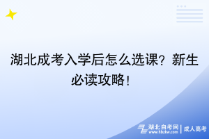 湖北成考入學(xué)后怎么選課？新生必讀攻略！