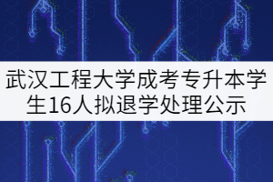 武漢工程大學成考專升本前置?？茖W歷資格清查學生16人擬退學處理公示