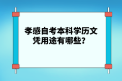 孝感自考本科學(xué)歷文憑用途有哪些？