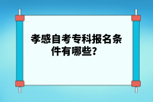 孝感自考?？茍竺麠l件有哪些？