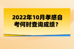 2022年10月孝感自考何時(shí)查詢成績(jī)？